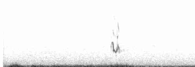 太平洋金斑鴴 - ML609791385