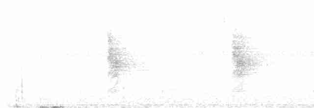 Меланезийская миагра - ML609797313