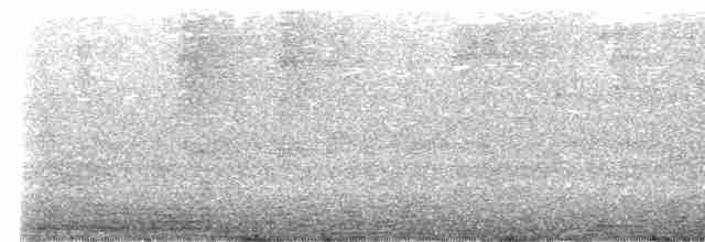 Малый галапагосский вьюрок - ML609803953