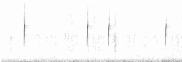 Трясохвіст білокрилий - ML609812965