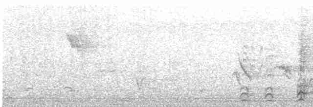 Синекрылая кукабара - ML609814615