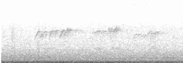 Личинкоїд сірий - ML609817445