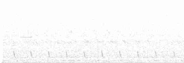 Дрімлюга болотяний - ML609818534