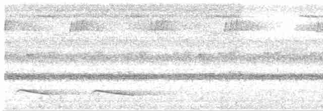 Зозуля-довгохвіст оливкова - ML609819822