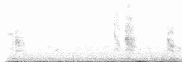 Weißbart-Seeschwalbe - ML609822316