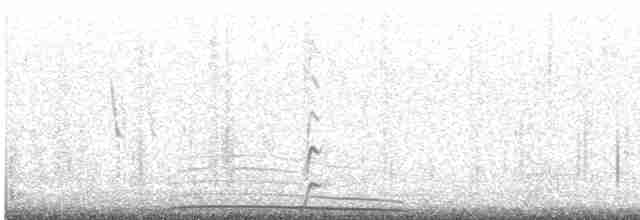 Elegant Crested-Tinamou - ML609822838
