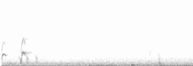 Elegant Crested-Tinamou - ML609822842