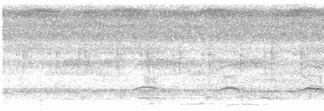 Лінивка-коротун сірошия - ML609830252