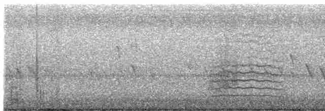 Gray Catbird - ML609830404