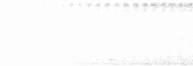 Лінивка-коротун сіроголова - ML609836694