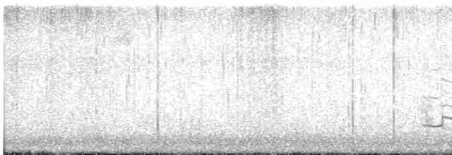 Black-bellied Plover - ML609839238