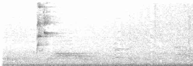 Ошейниковый арасари [группа torquatus] - ML609844656