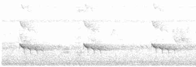 White-throated Kingfisher - ML609844957