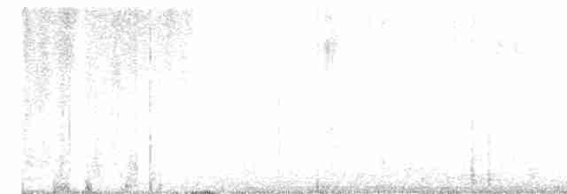 amerikahubro - ML609846698