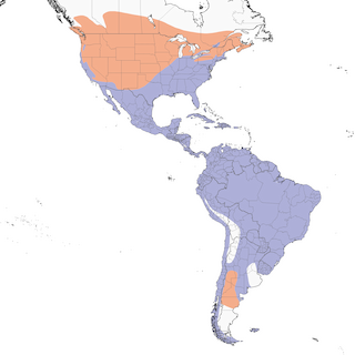 Distribution of the Turkey Vulture - Range Map