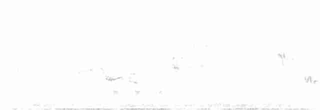 Common Rosefinch - ML609853654