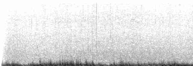 Arctic Tern - ML609869553