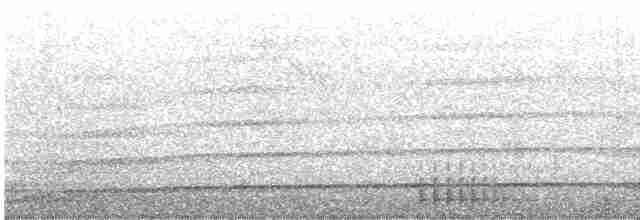 strakapoud velký [skupina major] - ML609884024