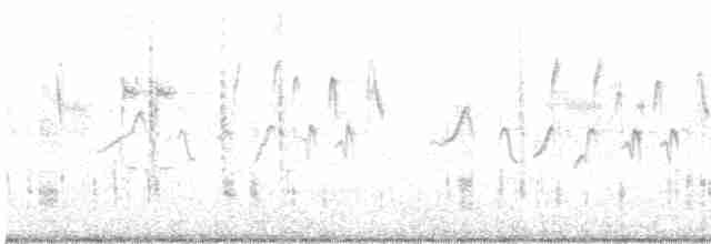 Сорокопуд сірий (підвид aucheri/buryi) - ML609884239