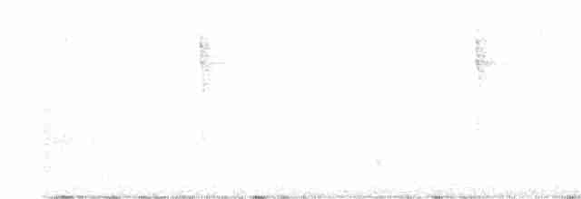 Тихоокеанский крапивник - ML609911198