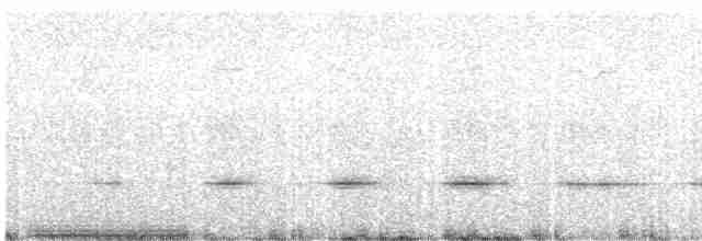 Spotted Quail-thrush - ML609912486