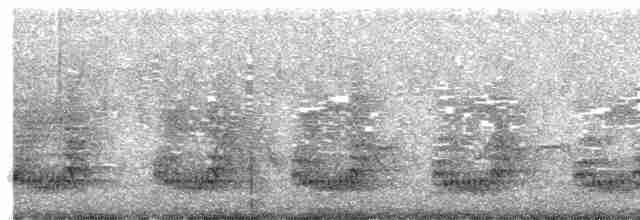 Francolin à gorge rouge (castaneiventer) - ML609916020