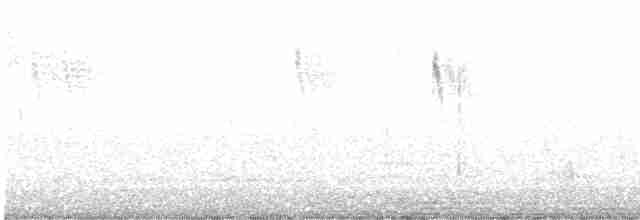 Gray Wagtail - ML609921482