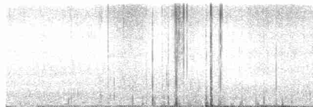 鶇科 - ML609923382