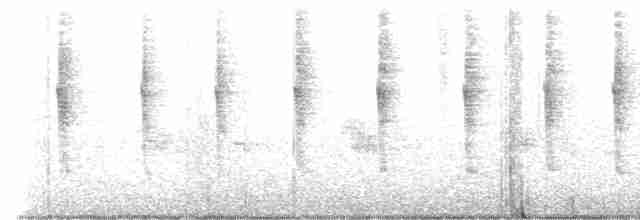 White-throated Hummingbird - ML609926097