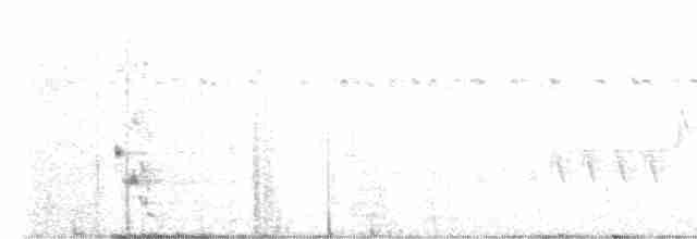 Plush-crested Jay - ML609936271