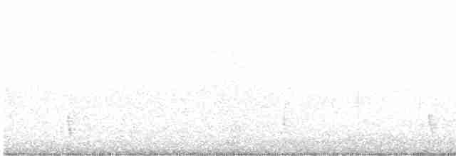 Hermit Thrush (faxoni/crymophilus) - ML609951916