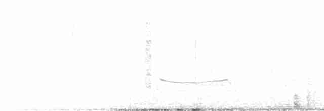 Black-bellied Plover - ML609951934