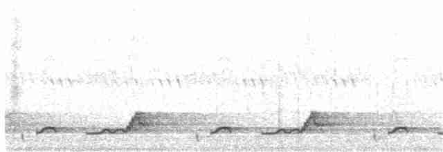 Schwarzkehl-Nachtschwalbe - ML60995861