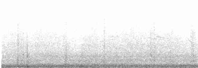 חרטומית חדת-זנב - ML609972613