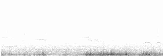 Багновець приморський - ML609973801