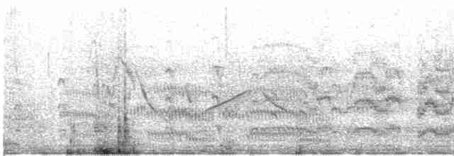 Flussseeschwalbe (longipennis) - ML609975818