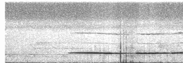 Красногрудый скрытохвост - ML609981860