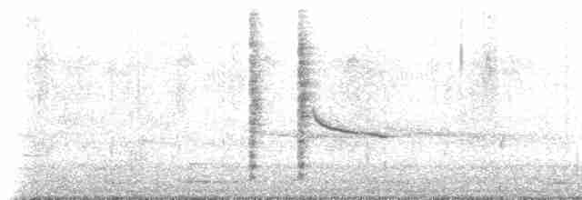 střízlík bažinný [skupina palustris] - ML609984853