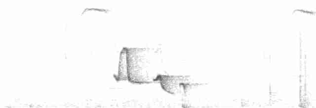 Troglodyte à poitrine grise - ML609992032