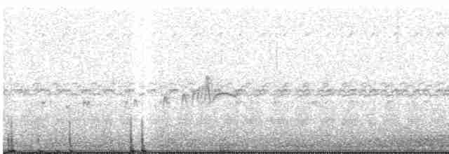 Weißschwanz-Nachtschwalbe - ML609993111