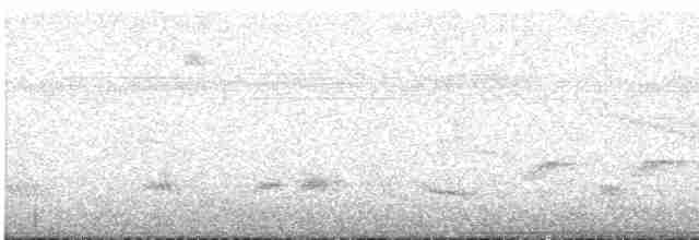 White-tailed Nightjar - ML609993333