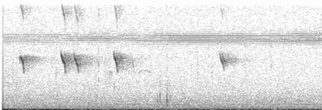White-tailed Nightjar - ML609993348