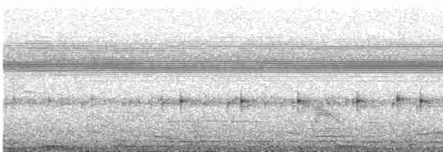 Weißschwanz-Nachtschwalbe - ML609993860