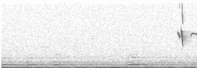 Weißschwanz-Nachtschwalbe - ML609993870