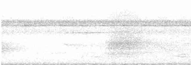 Сверкающий дронго (atrocaeruleus) - ML610002843