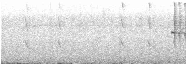 Белогузый колибри - ML610004828