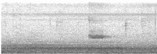Loggerhead Shrike - ML610011658