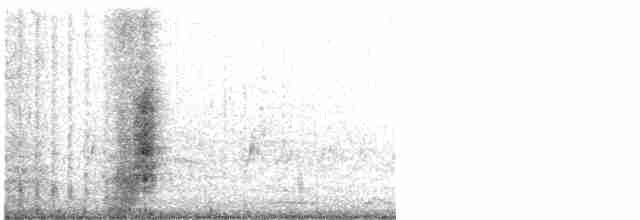 חרטומית סיבירית - ML610012293