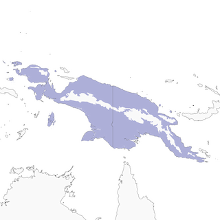 Distribution of the Eastern Hooded Pitta - Range Map