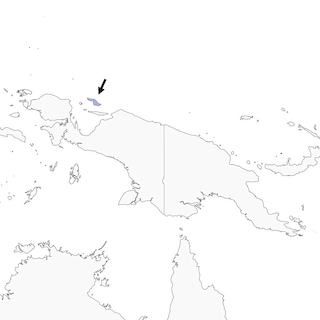 Distribution of the Biak Hooded Pitta - Range Map